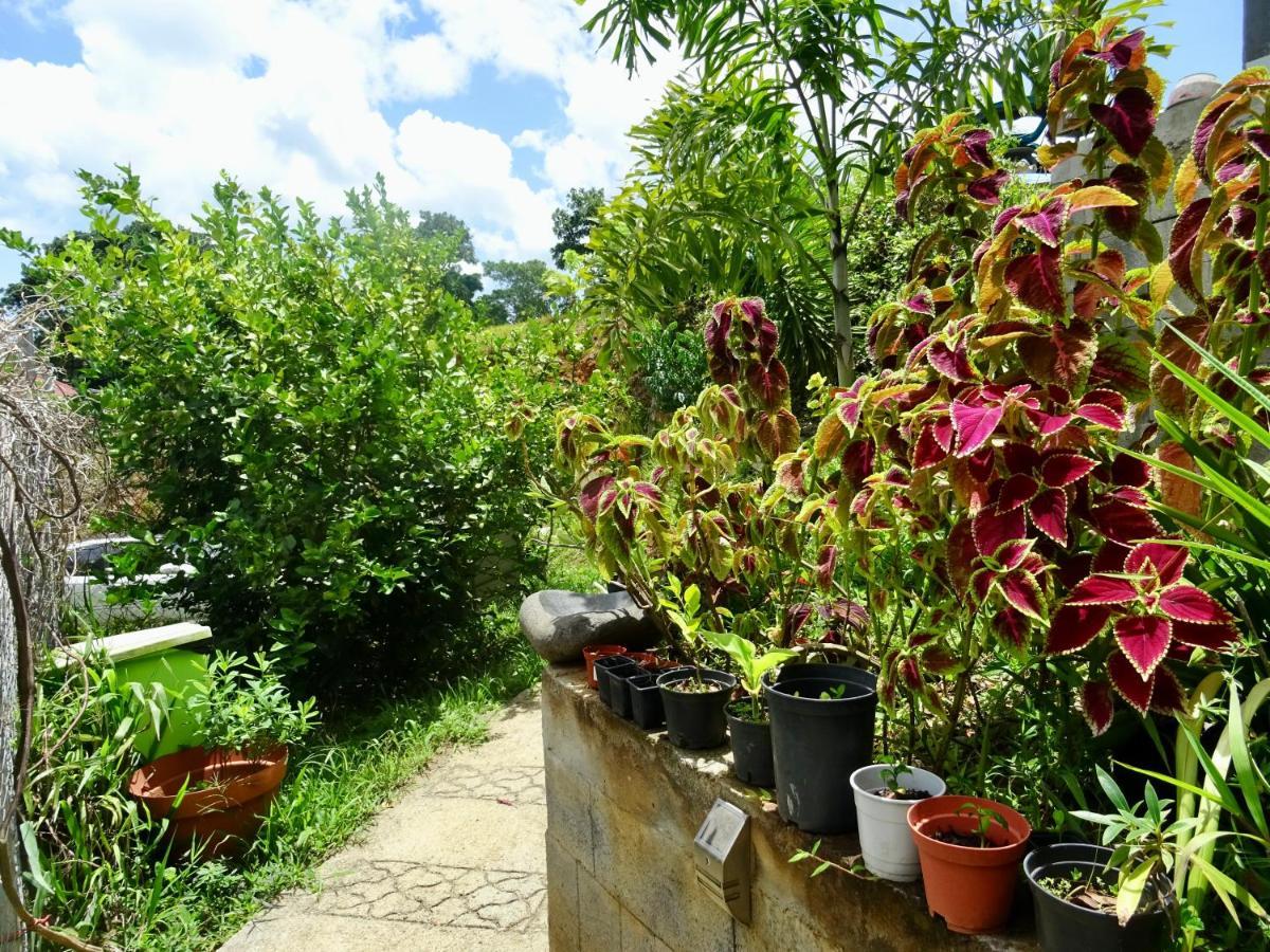 Bungalow Dourou Deshaies Luaran gambar